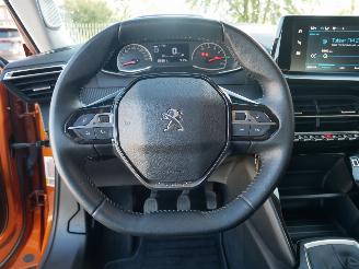 Peugeot 2008 ACTIVE  HAGELSCHADE picture 9