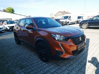 Peugeot 2008 ACTIVE  HAGELSCHADE picture 2