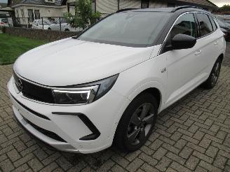 Auto incidentate Opel Grandland GrandLand X  1.2T 130pk AUT. Climatronic HalfLeer/Alcant Navi Camera Keyless-Go Stoel/Stuur-Verwarming 2024/5