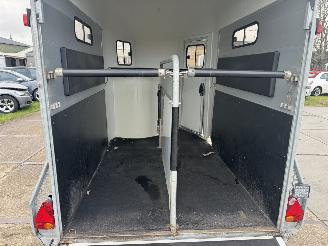 Cheval Liberte  2 paards picture 6