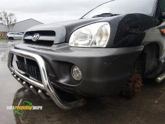 Hyundai Santa Fe Santa Fe I, SUV, 2000 / 2006 2.4 16V 4x2 picture 11