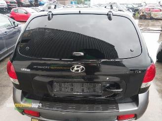 Hyundai Santa Fe Santa Fe I, SUV, 2000 / 2006 2.4 16V 4x2 picture 17