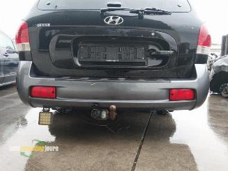 Hyundai Santa Fe Santa Fe I, SUV, 2000 / 2006 2.4 16V 4x2 picture 20