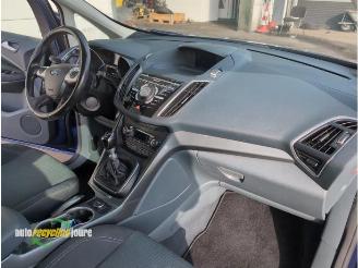 Ford C-Max C-Max (DXA), MPV, 2010 / 2019 1.0 Ti-VCT EcoBoost 12V 125 picture 16
