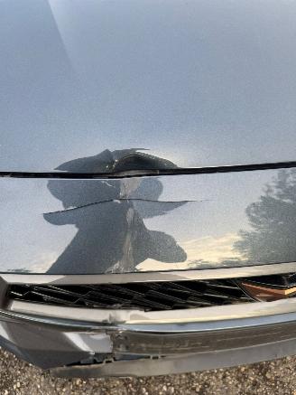 Cupra Leon Cupra Leon Pano Kuipstoelen sfeer verlichting picture 12