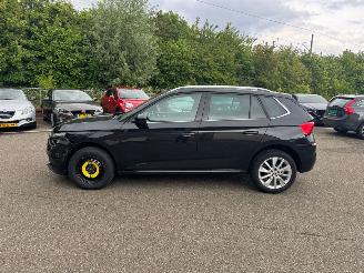 Skoda Kamiq Ambition Pano Automaat Stoelverwarming picture 8