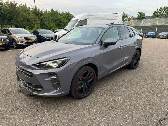 skadebil auto Cupra Terramar VZ 195KW PANO Kuipstoelen Vierwielaandrijving LED VOLLE 2025/7