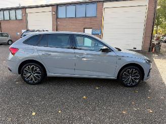 Skoda   picture 3