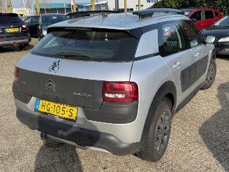Citroën C4 cactus 1.6 Blue HDI Business picture 3