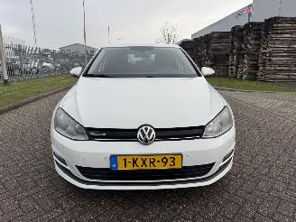 Volkswagen Golf 1.6 TDI 81Kw Clima Navi picture 8
