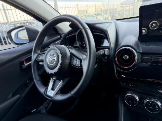 Mazda 2 1.5 SkyActive G90 Homura picture 15