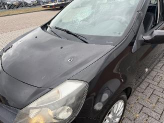 Renault Clio 1.2 TCE 74kw CLIMA picture 8