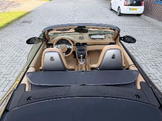 Porsche 911 Cabrio picture 18