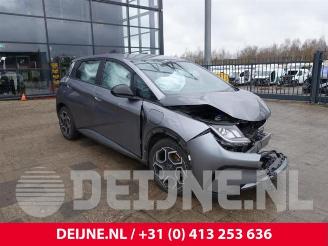 Salvage car BYD Dolphin Dolphin, Hatchback 5-drs, 2021 60,4 kWh 2024/3