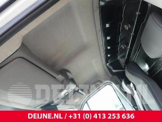 Opel Movano Movano, Van, 2010 / 2021 2.3 CDTi Biturbo 16V RWD picture 24
