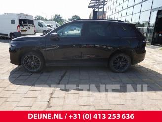 Leapmotor C10 C10, SUV, 2020 69.9 kWh picture 5