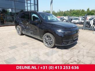 Leapmotor C10 C10, SUV, 2020 69.9 kWh picture 1