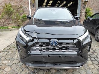Toyota Rav-4 Hybrid 4x2 picture 2
