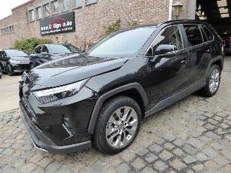 škoda osobní automobily Toyota Rav-4 Hybrid 4x2 2024/1