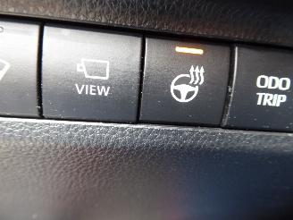 Toyota Rav-4 Hybrid 4x2 picture 16