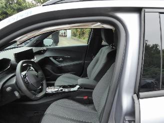 Peugeot 2008 e- Allure picture 11