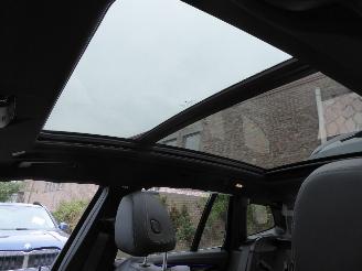 BMW X3 20 d Luxury Line picture 20