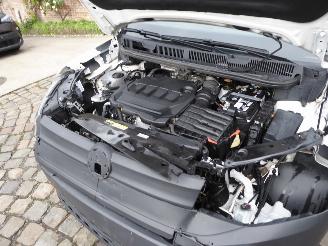 Volkswagen Caddy Maxi picture 23