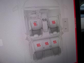 Tesla Model Y Long Range Dual AWD picture 19