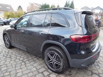 Mercedes EQB AMG Line 250+ picture 9