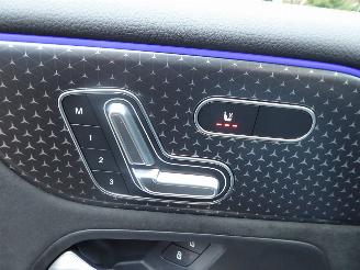 Mercedes EQB AMG Line 250+ picture 15