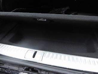 Lotus Eletre  picture 11