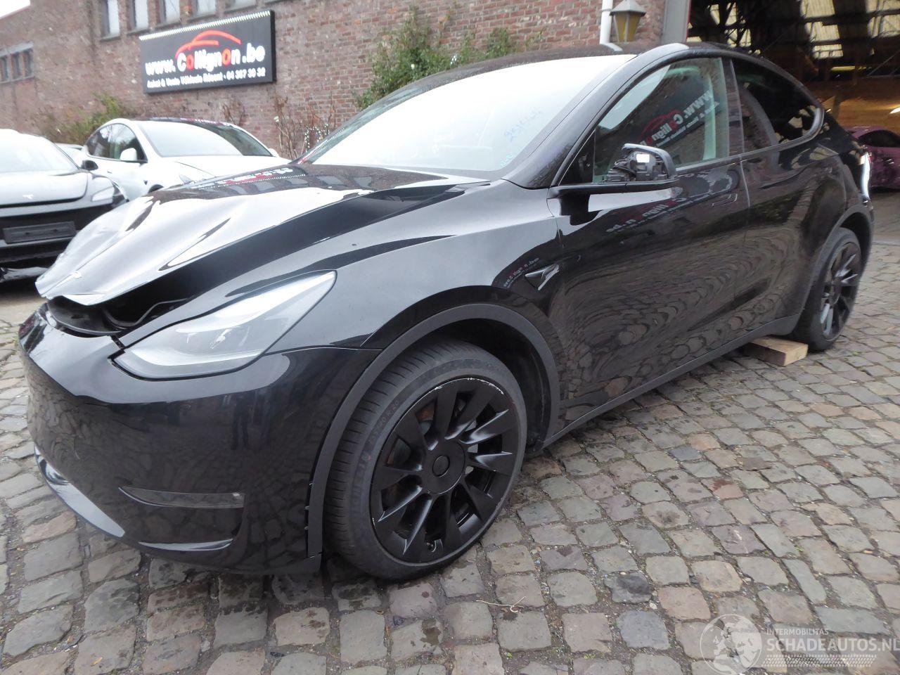 Tesla Model Y Long Range Dual AWD