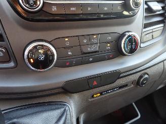 Ford Transit Kasten 350 L3 Trend picture 22