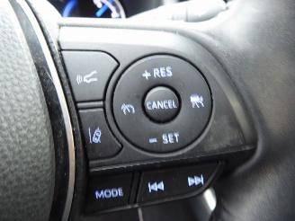 Toyota Rav-4 2.5 Hybrid Style Selection Auto picture 17