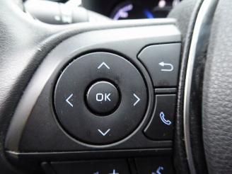 Toyota Rav-4 2.5 Hybrid Style Selection Auto picture 16