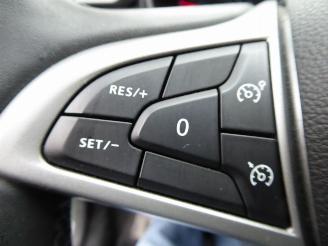 Dacia Duster II Journey picture 19