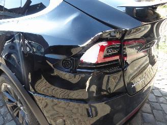 Tesla Model X Performance Dual picture 11