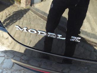 Tesla Model X Performance Dual picture 9