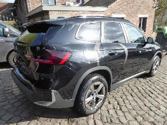 BMW X1 25 e xDrive picture 4