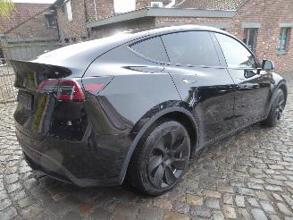 Tesla Model Y  picture 5