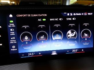 BMW X1 25 e xDrive picture 25