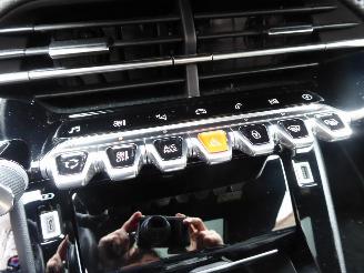 Peugeot 2008 e- GT picture 26