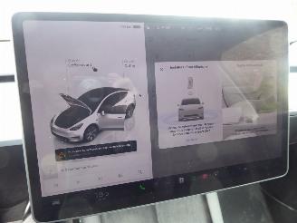 Tesla Model Y Long Range Dual AWD picture 19