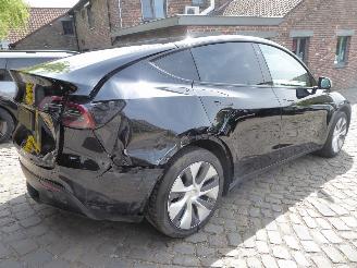 Tesla Model Y  picture 4