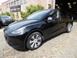 Auto incidentate Tesla Model Y  2024/3