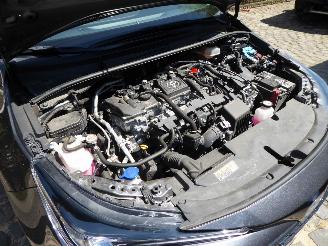 Toyota Corolla Touring Sports Lounge picture 26