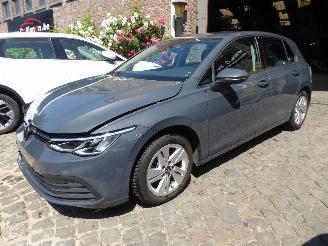 Avarii autoturisme Volkswagen Golf Life 2022/2