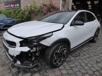 uszkodzony samochody osobowe Kia Xceed GT Line 2024/2