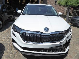 Skoda Karoq Style picture 3