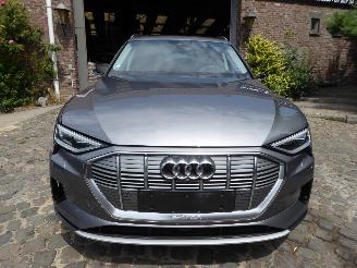 Audi E-tron 55 quattro advanced picture 2